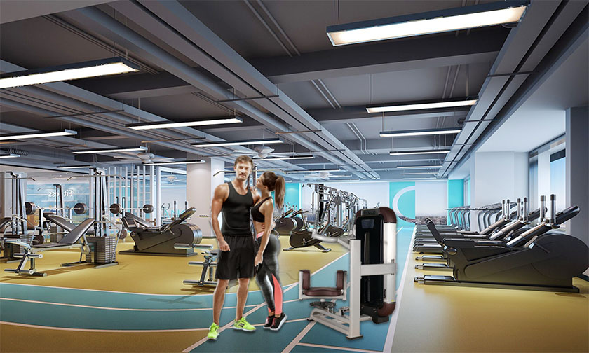 Gym fitness equipment for stength Gym fitness equipment for stength