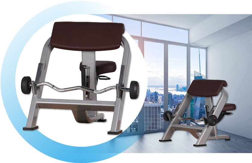 arm curl bench arm curl bench