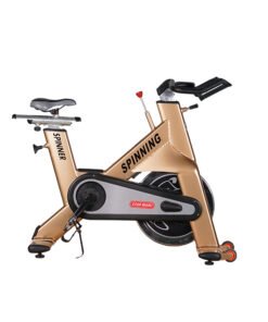 LMCC Spinning Bike Indoor Exercise Spin Cycling Bike Commercial Home Gym Spin Cycling Upright Bike