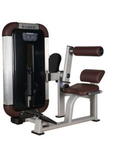 LMCC Back Extension Exercise Machine Commercial Gym Equipment Weighted Back Hyperextension