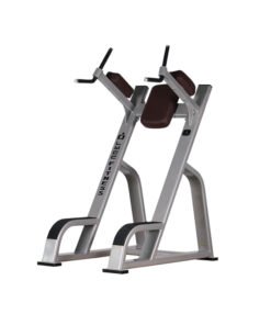 LMCC Leg Raise Gym Equipment Leg Raise Strength Trainer Machine Commercial Gym Leg Raise Machine