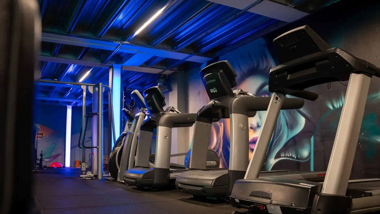 Row of commercial treadmills in a gym cardio zone